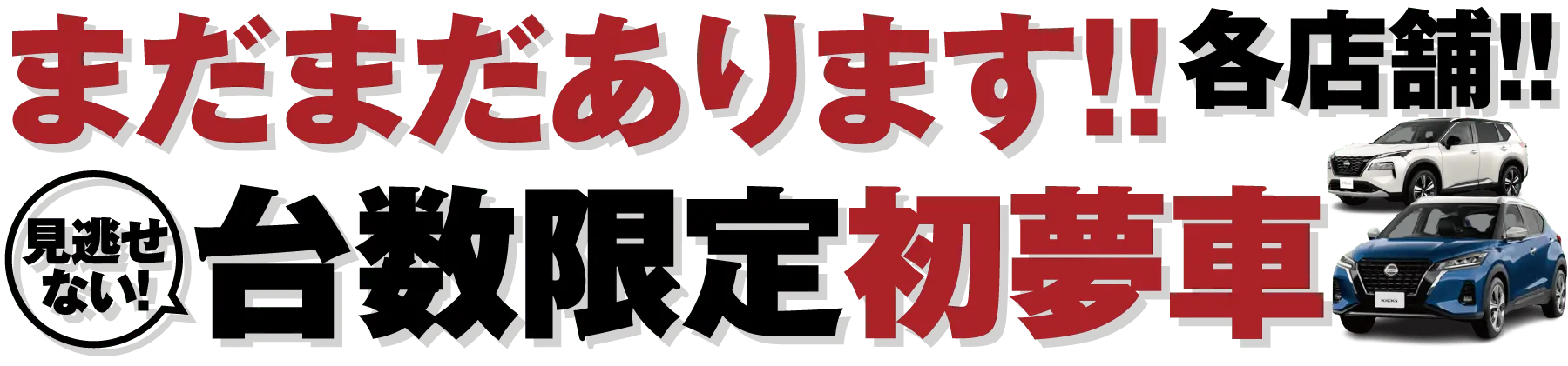 まだまだあります！！各店舗！！台数限定初夢車